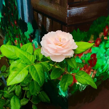 Gia Hung Motel Vung Tau Dış mekan fotoğraf